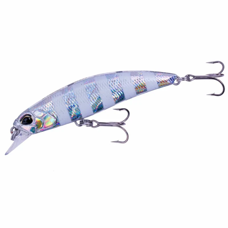GJA0101 Zebra Glow