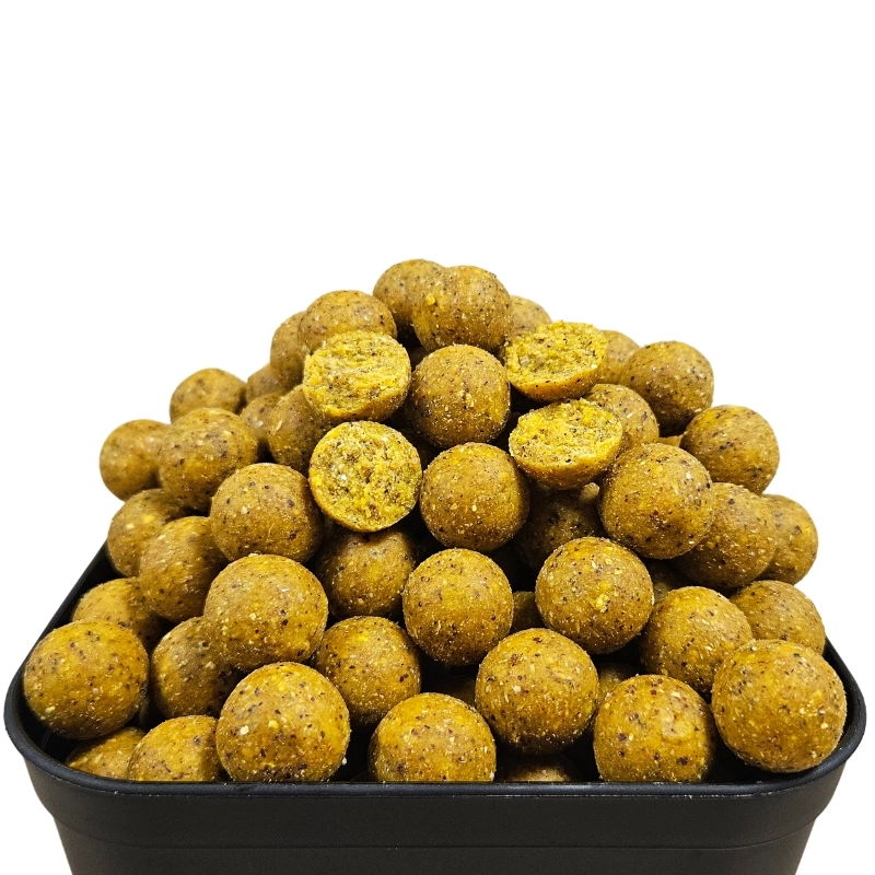 CULTO Baiting Boilies Scopex 20mm 2kg