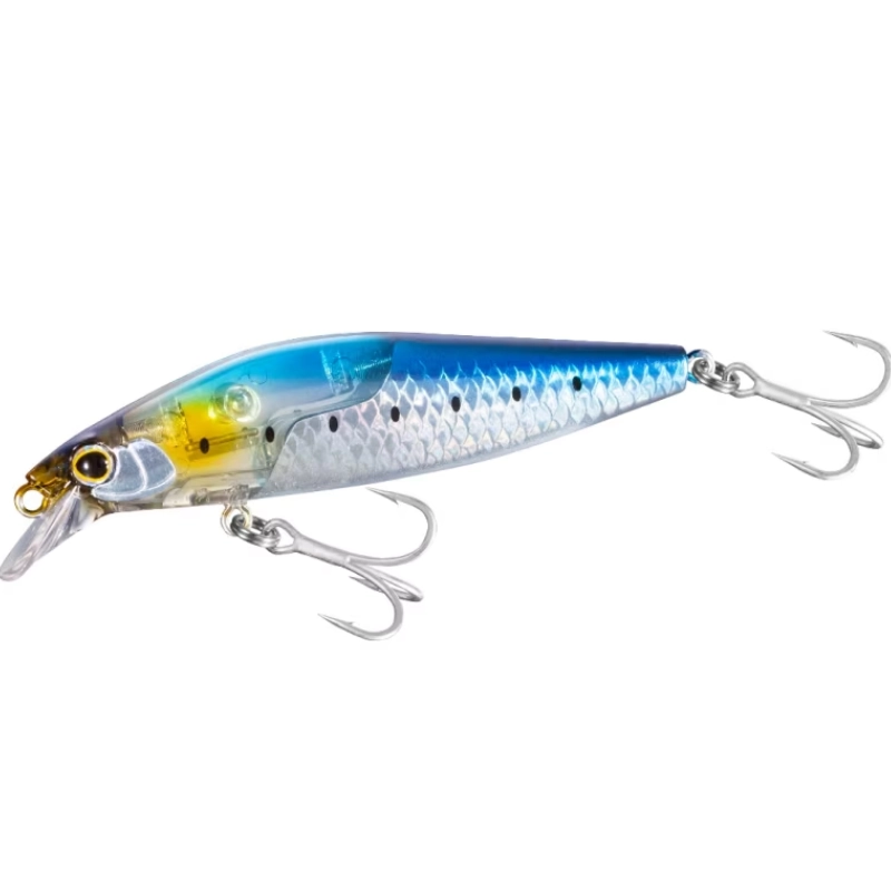 N Sardine