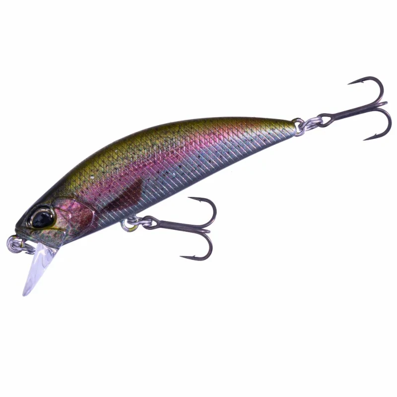CCC3836 Rainbow Trout Nd