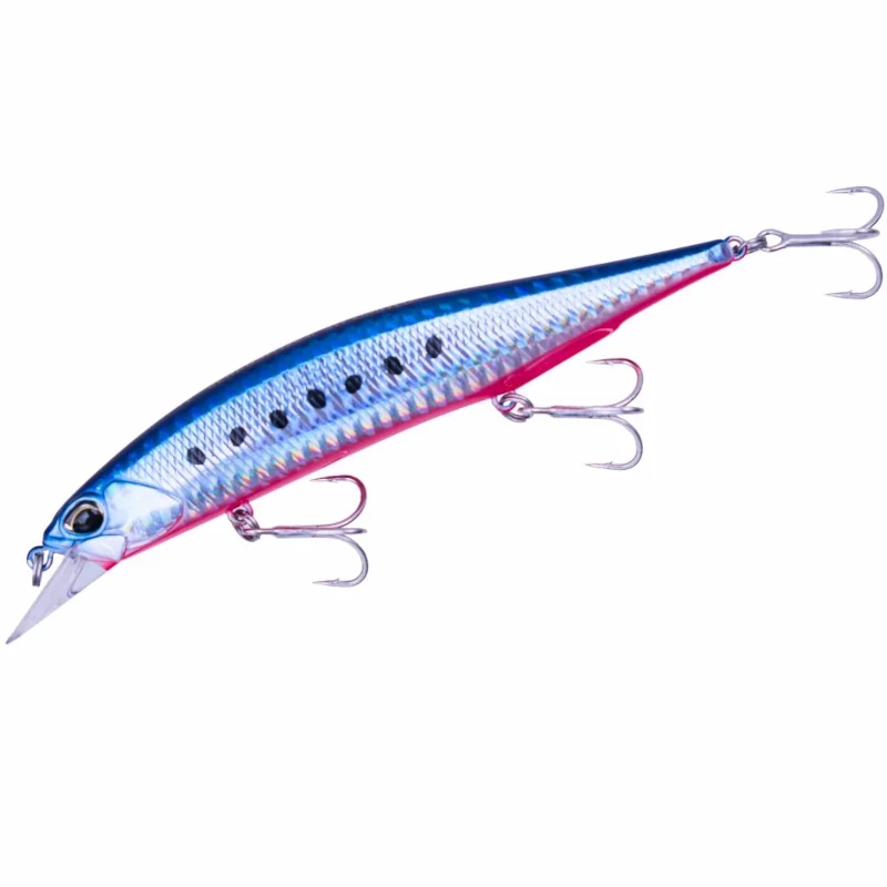 AHA0087 Mazume Sardine