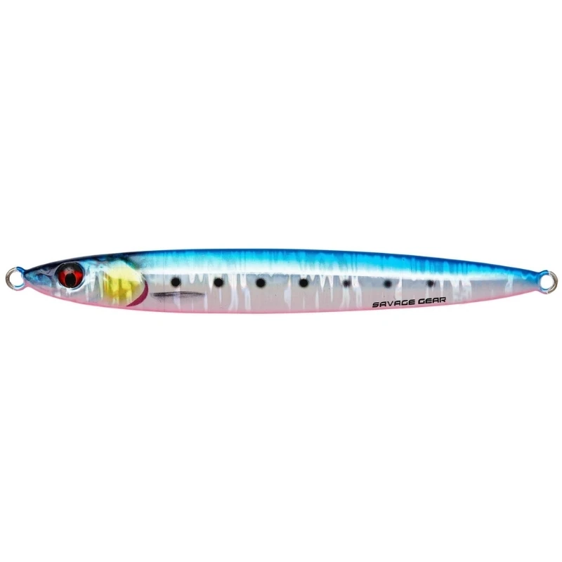 Pink Belly Sardine