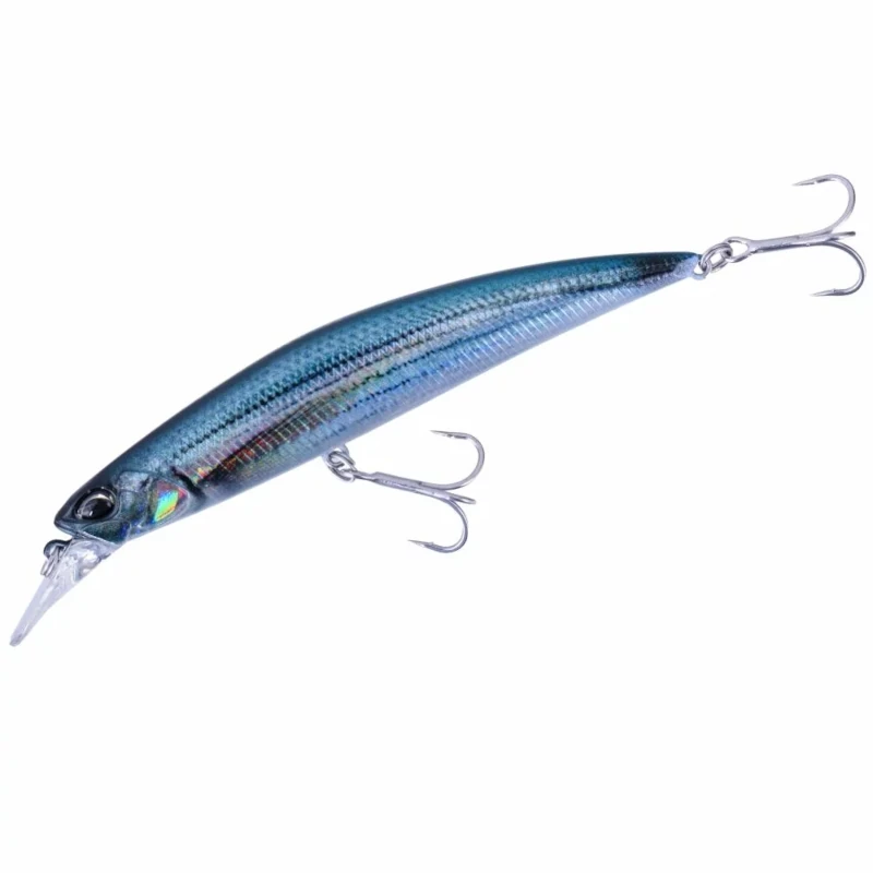 AFA0830 Saddled Bream Nd