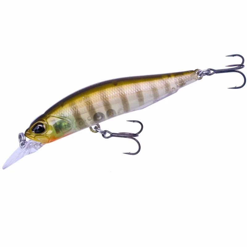 CCC3158 Ghost Gill
