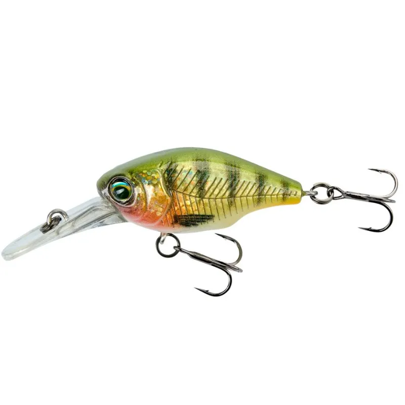 Hl Perch
