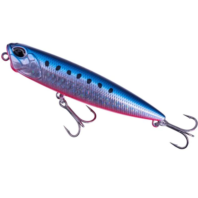 CYA0587 Uroko Mazume Sardine