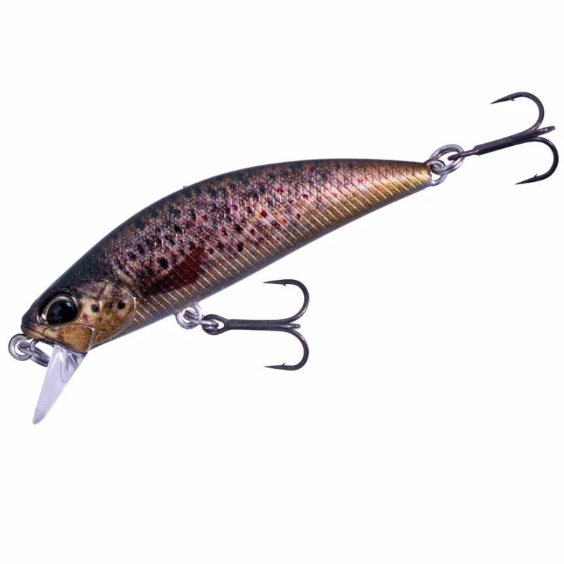 CCC3815 Brown Trout Nd