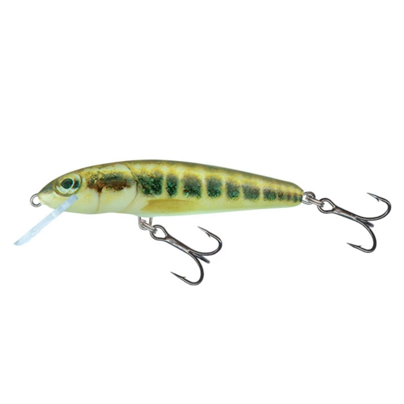 Minnow