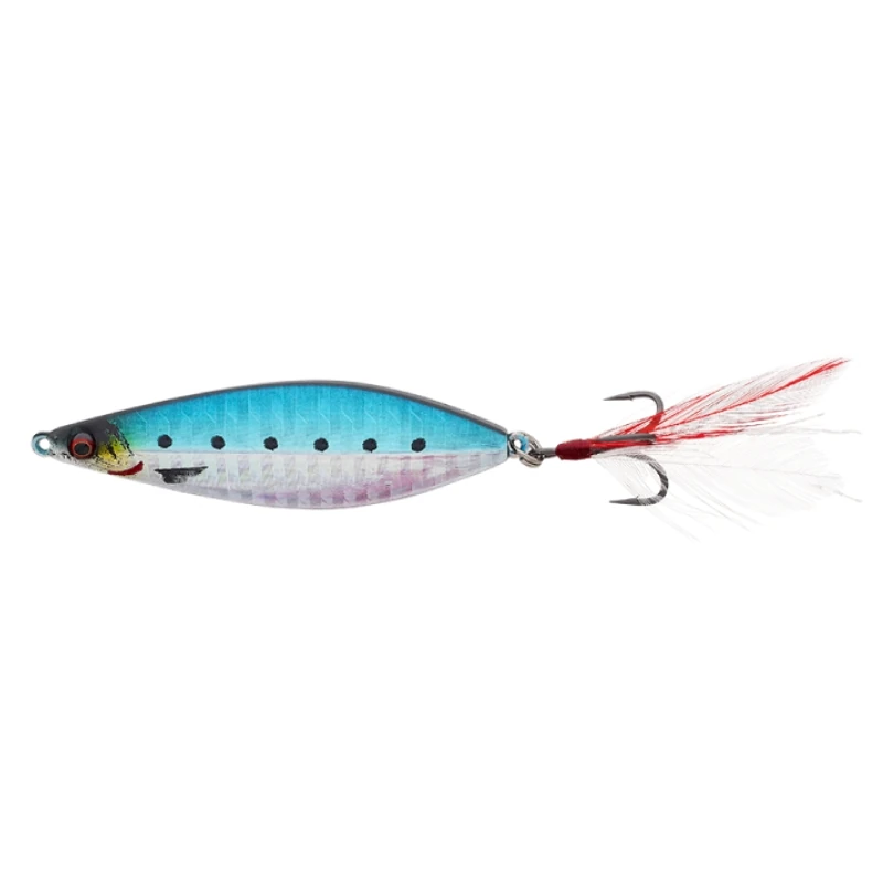 Sardine