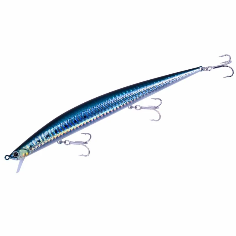 AHA0011 Sardine