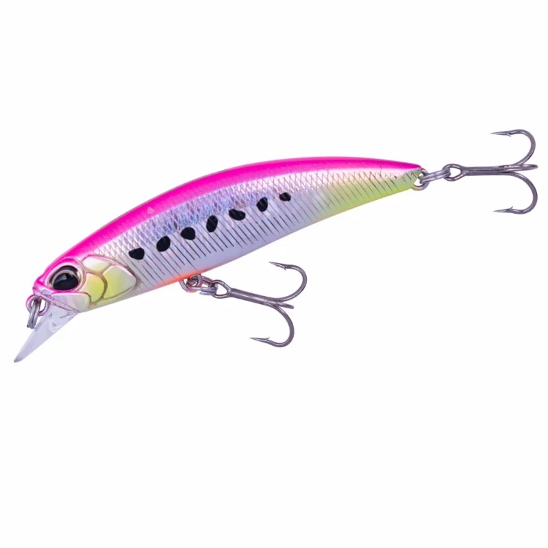 CPA0679 Tropical Sardine Glow