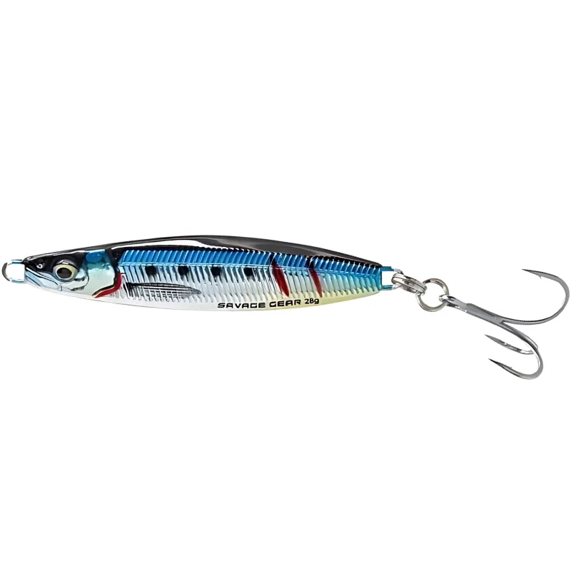 Sardine