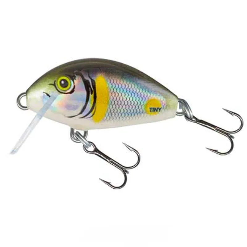 Smelt