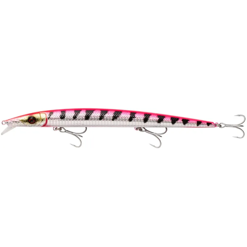 Blue Mackerel
