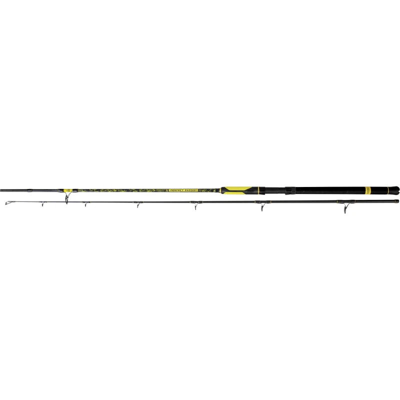 BLACK CAT Perfect Passion Spin 270cm 60-200g 