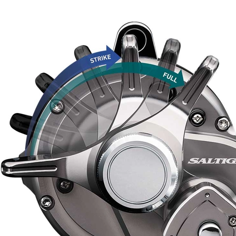 DAIWA Saltiga LD 40-2SPD