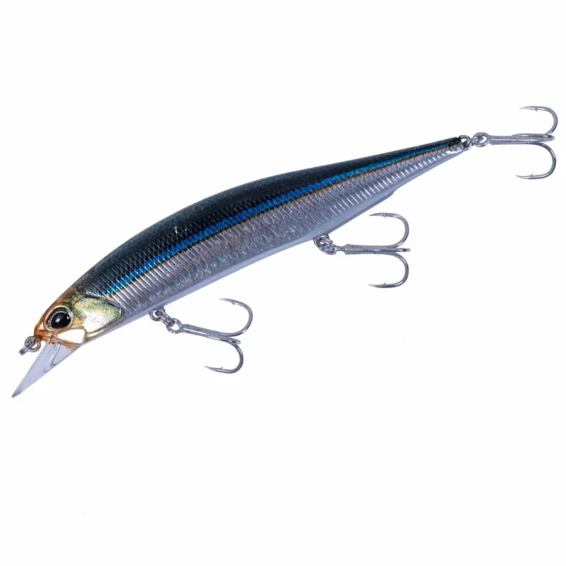 CYA0582 Blackear Sardine