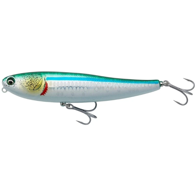 Ls Sardine