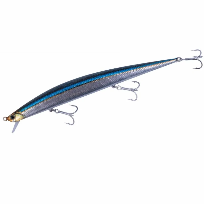 CYA0582 Blackear Sardine
