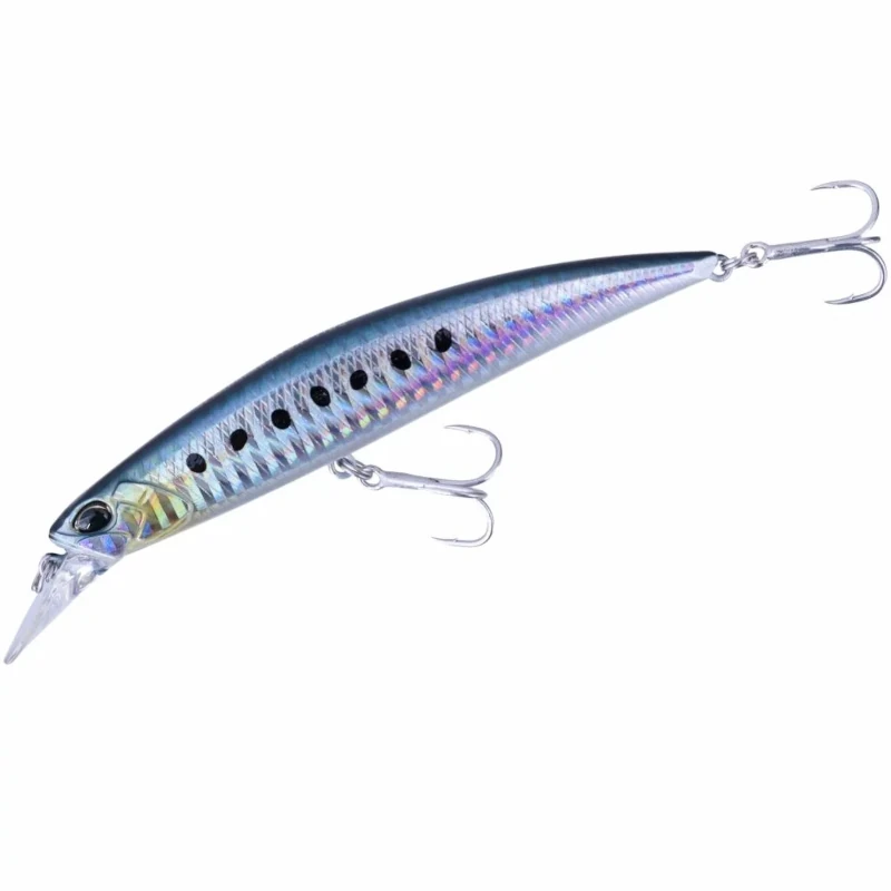 AHA0011 Sardine