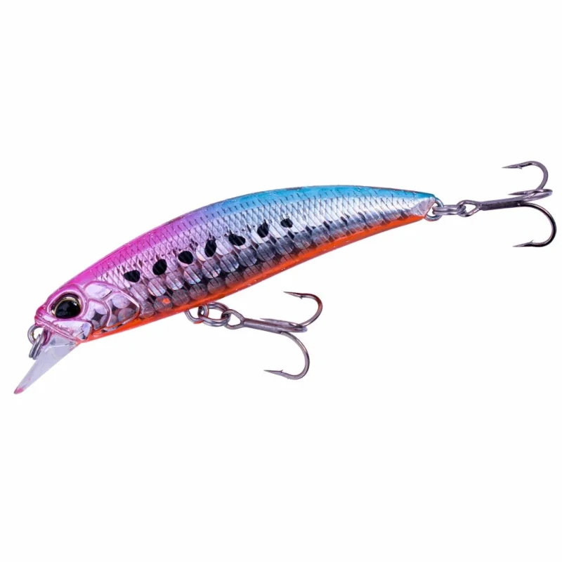 CBA0189 Sakura Sardine Ob
