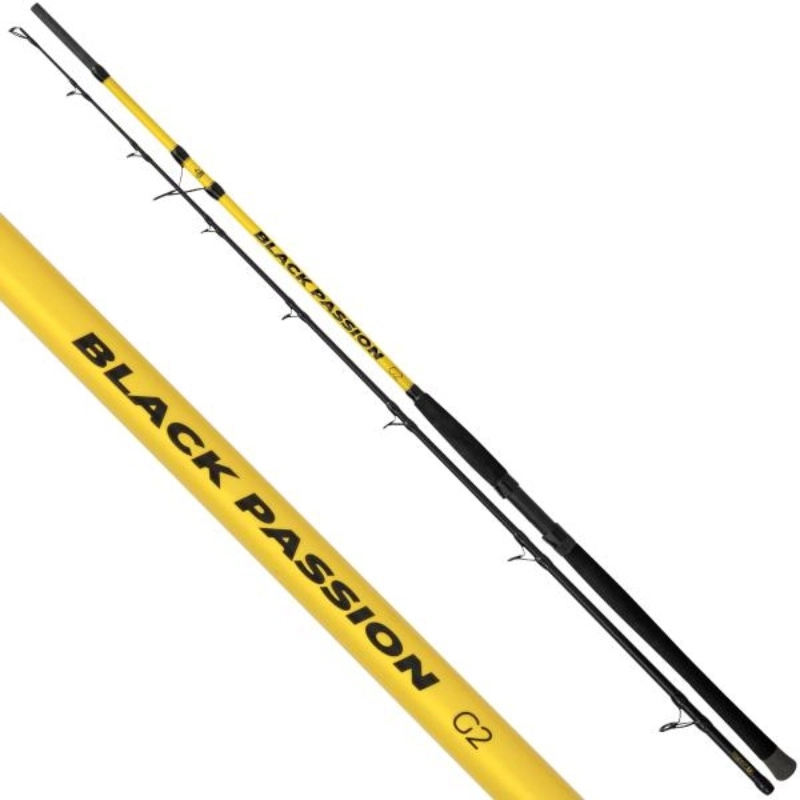 BLACK CAT Black Passion G2 Allround 270cm 600g 