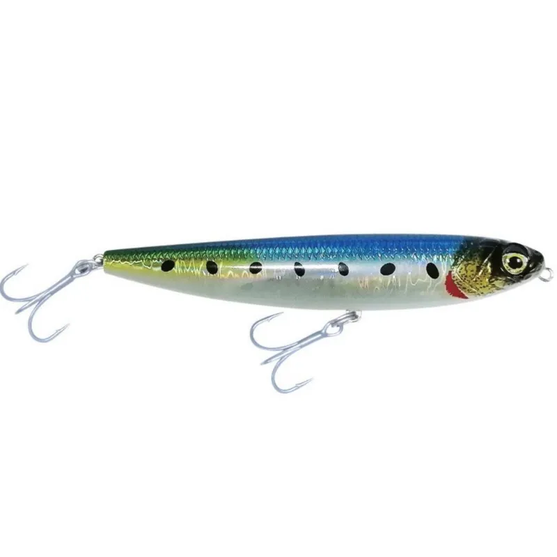 Sardine