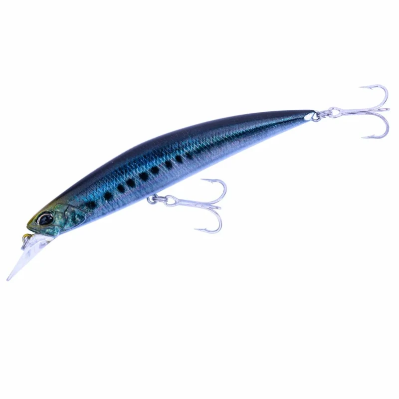 CMA0486 Real Sardine
