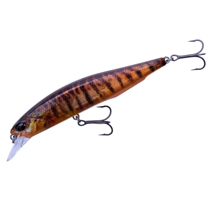 CCC3396 Logperch