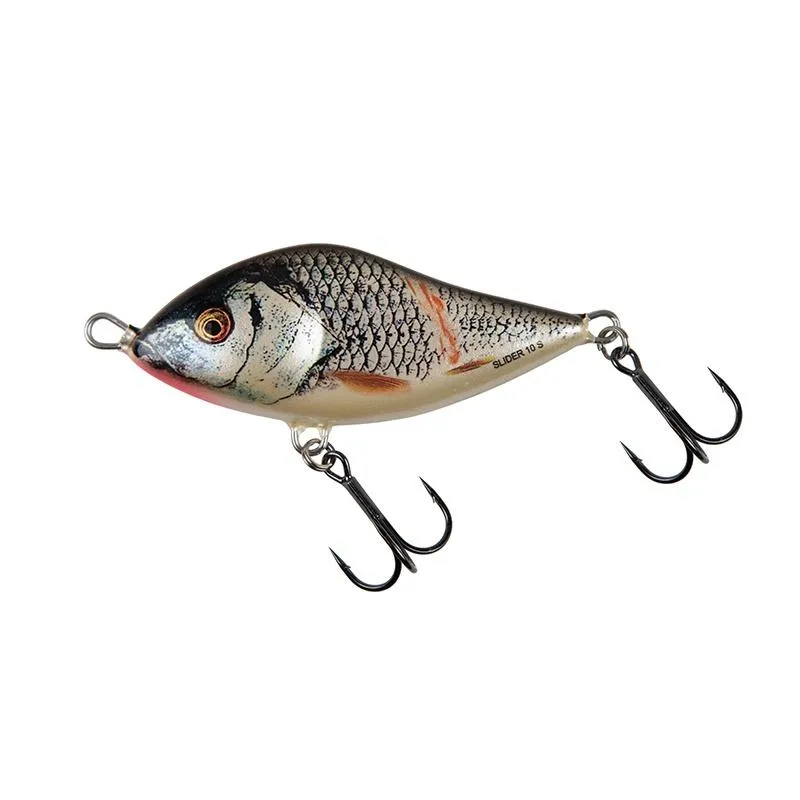 Wounded Real Grey Shiner