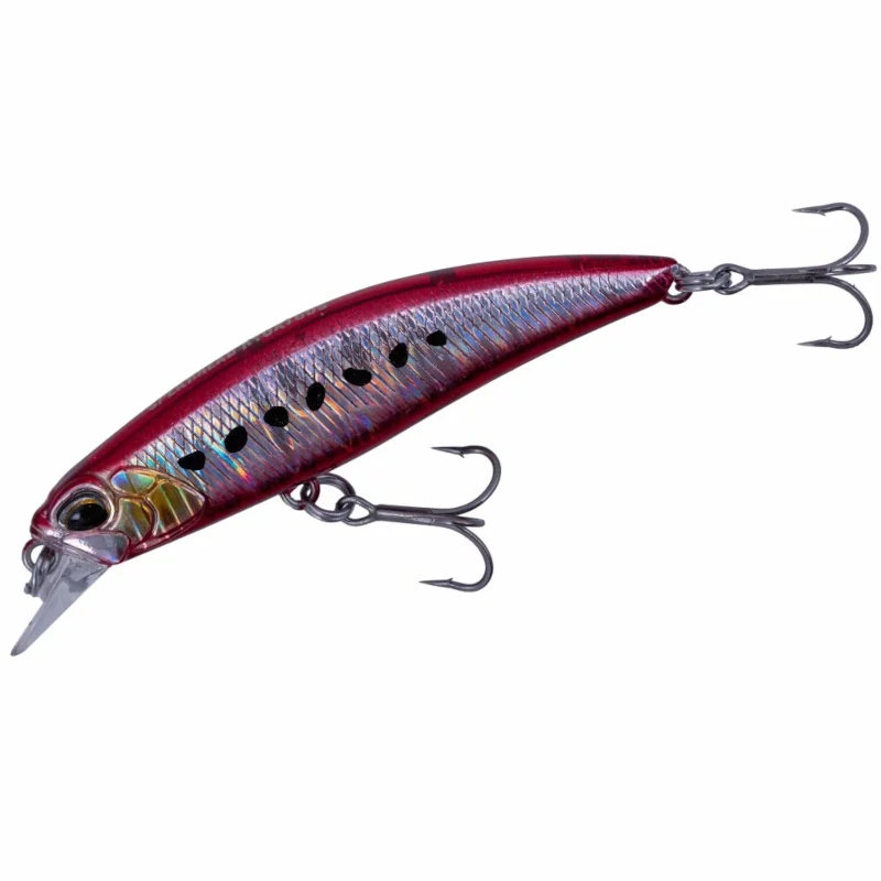 CPA0384 Fire Sardine