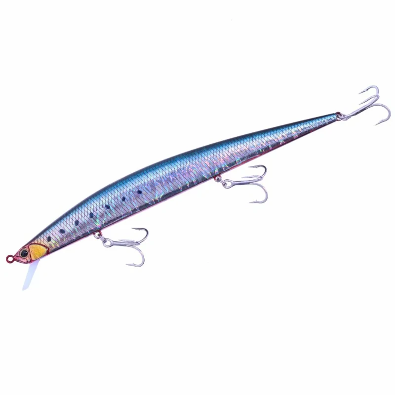 GPB0054 Genkai Sardine